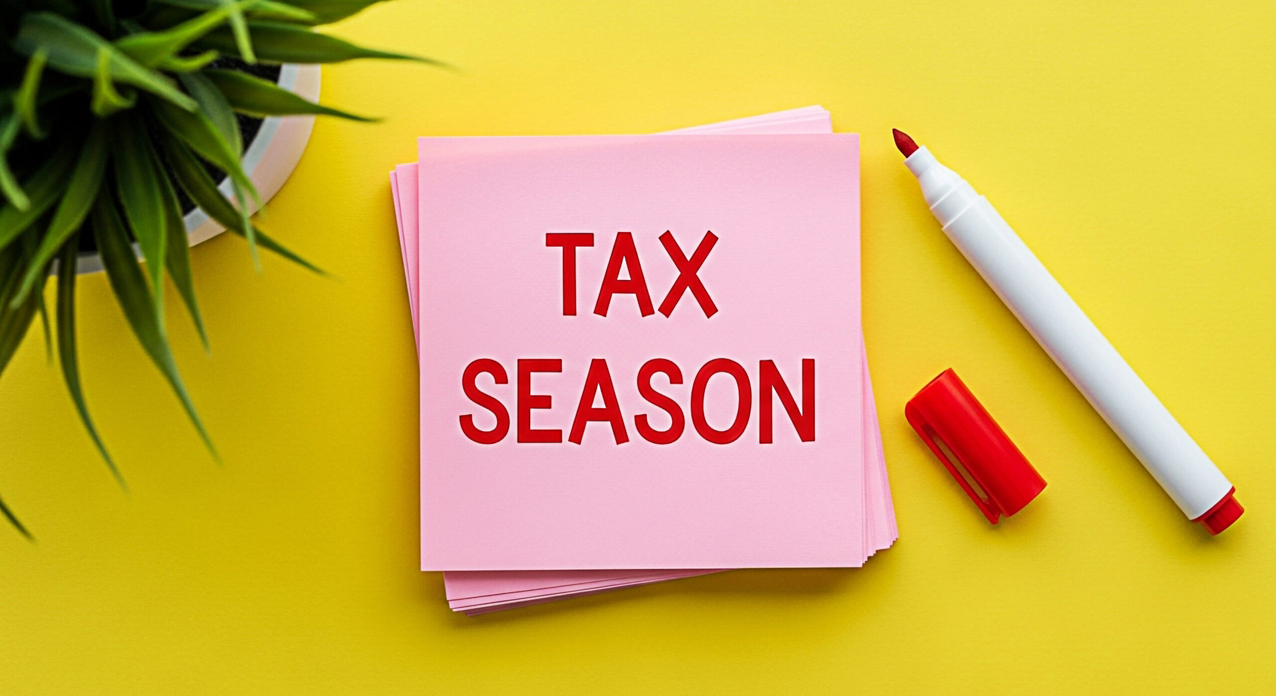Tax Season, Simplified