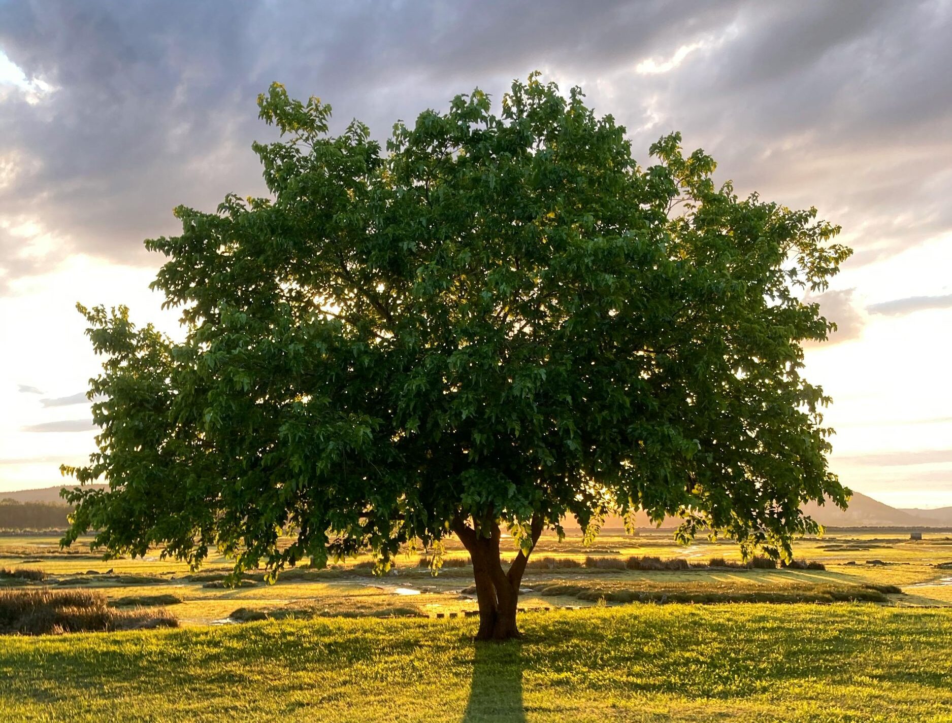 Should You Disclaim an Inheritance?